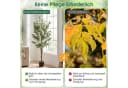 COSTWAY Kunstbaum Olivenbaum 150 cm Grün mit Zementtopf Bild 3
