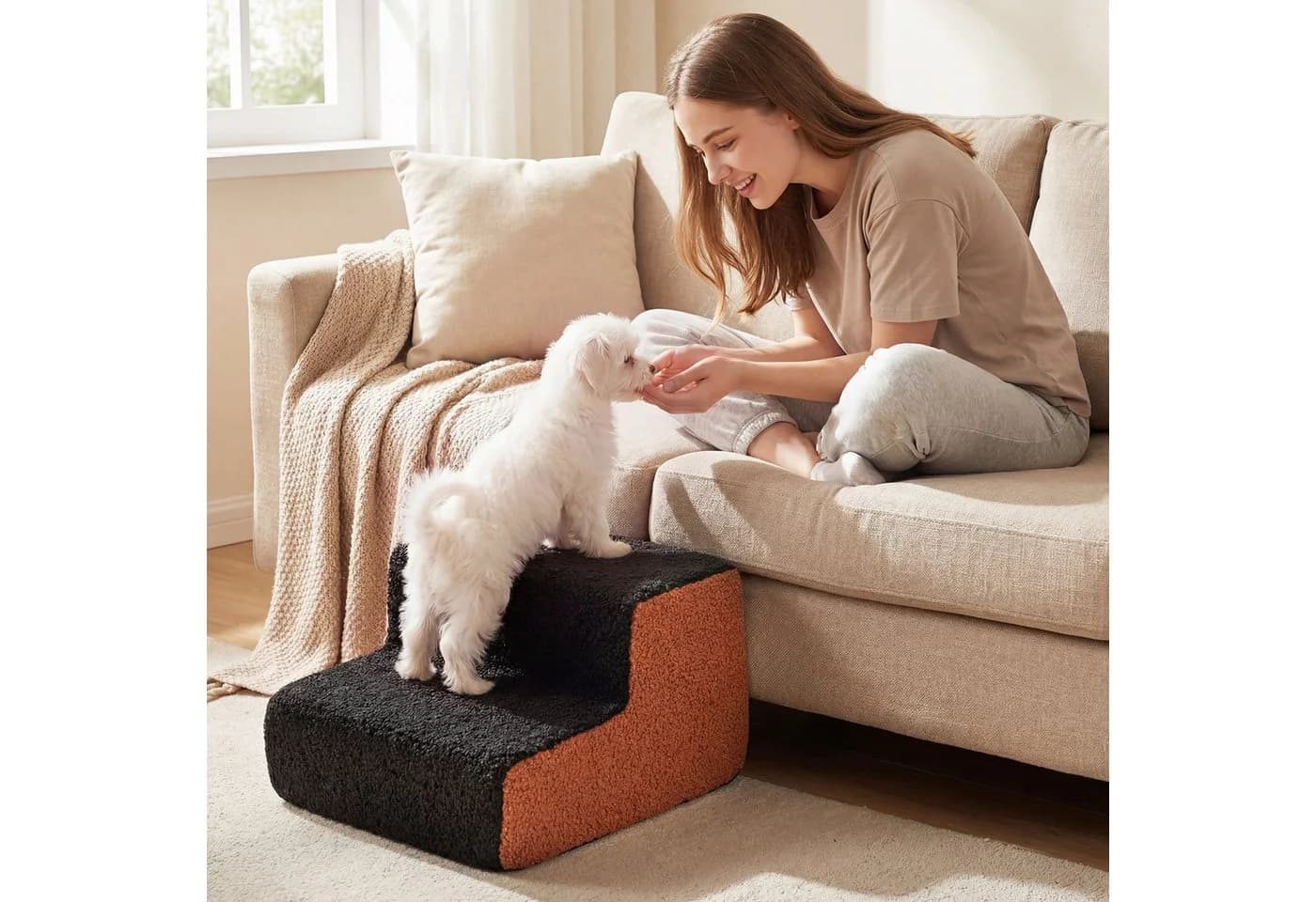 COSTWAY 2-stufige Hundetreppe Schwarz/Braun