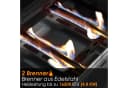 TLGREEN Camping-Gasgrill Tischgrill mit Emaille-Platte Schwarz Bild 4