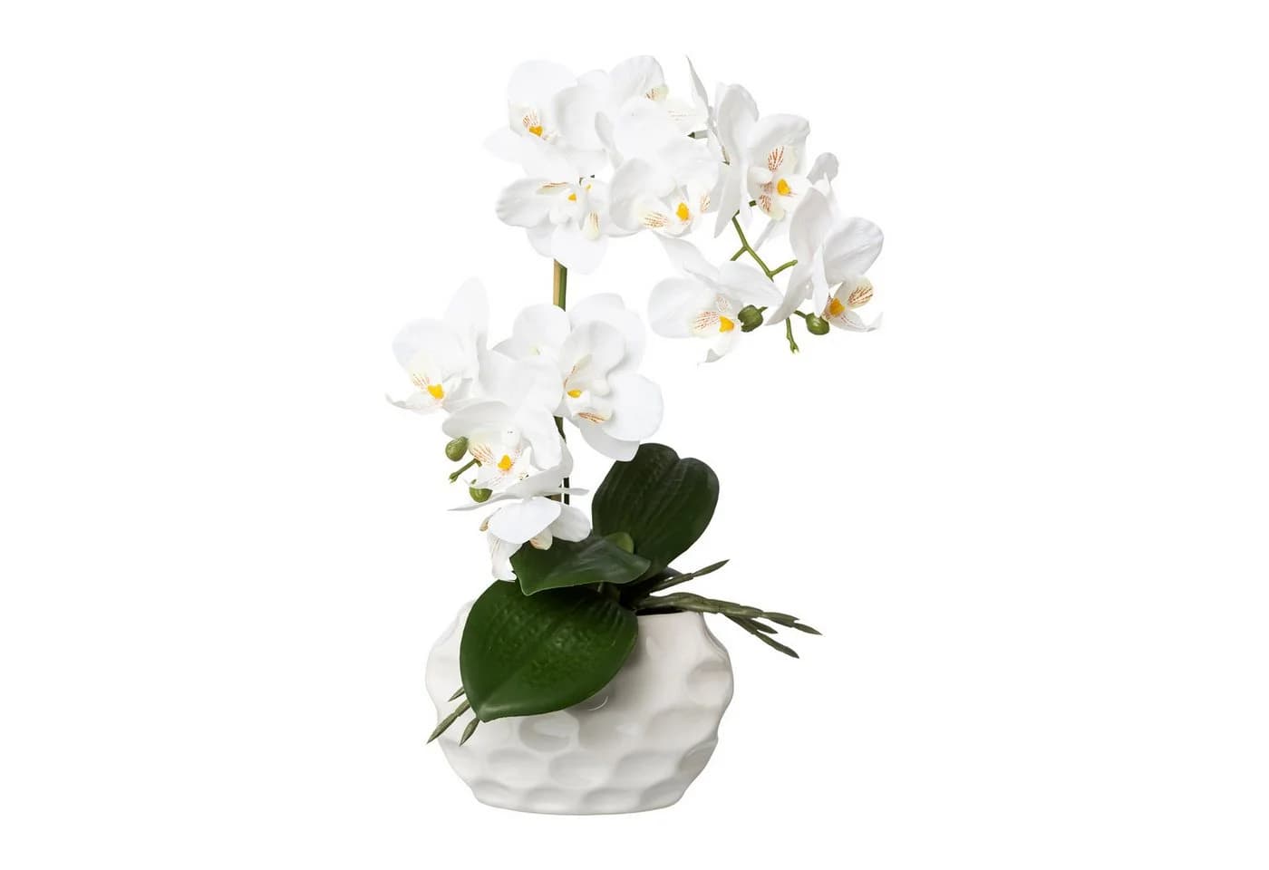 Creativ green Kunstorchidee Kunstpflanze Orchidee, weiß, ca. 33 cm hoch in Keramiktopf - Bild 2