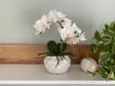 Creativ green Kunstorchidee Kunstpflanze Orchidee, weiß, ca. 33 cm hoch in Keramiktopf Bild 5