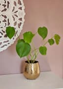 Meinposten Blumentopf Übertopf Vase Gold Metall Hammerschlag 18x18 cm Bild 1
