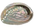 Steinfixx® Dekoschale Abalone Paua Muschel 100 % echt aus Mexiko Bild 2