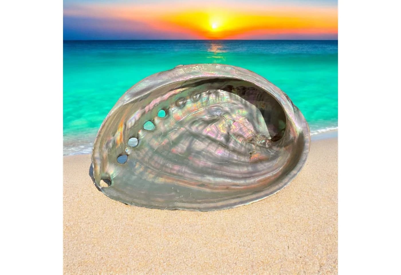 Steinfixx® Dekoschale Abalone Paua Muschel 100 % echt aus Mexiko - Bild 3