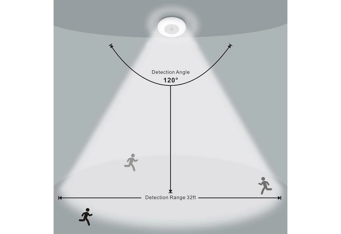 none - Bild 5