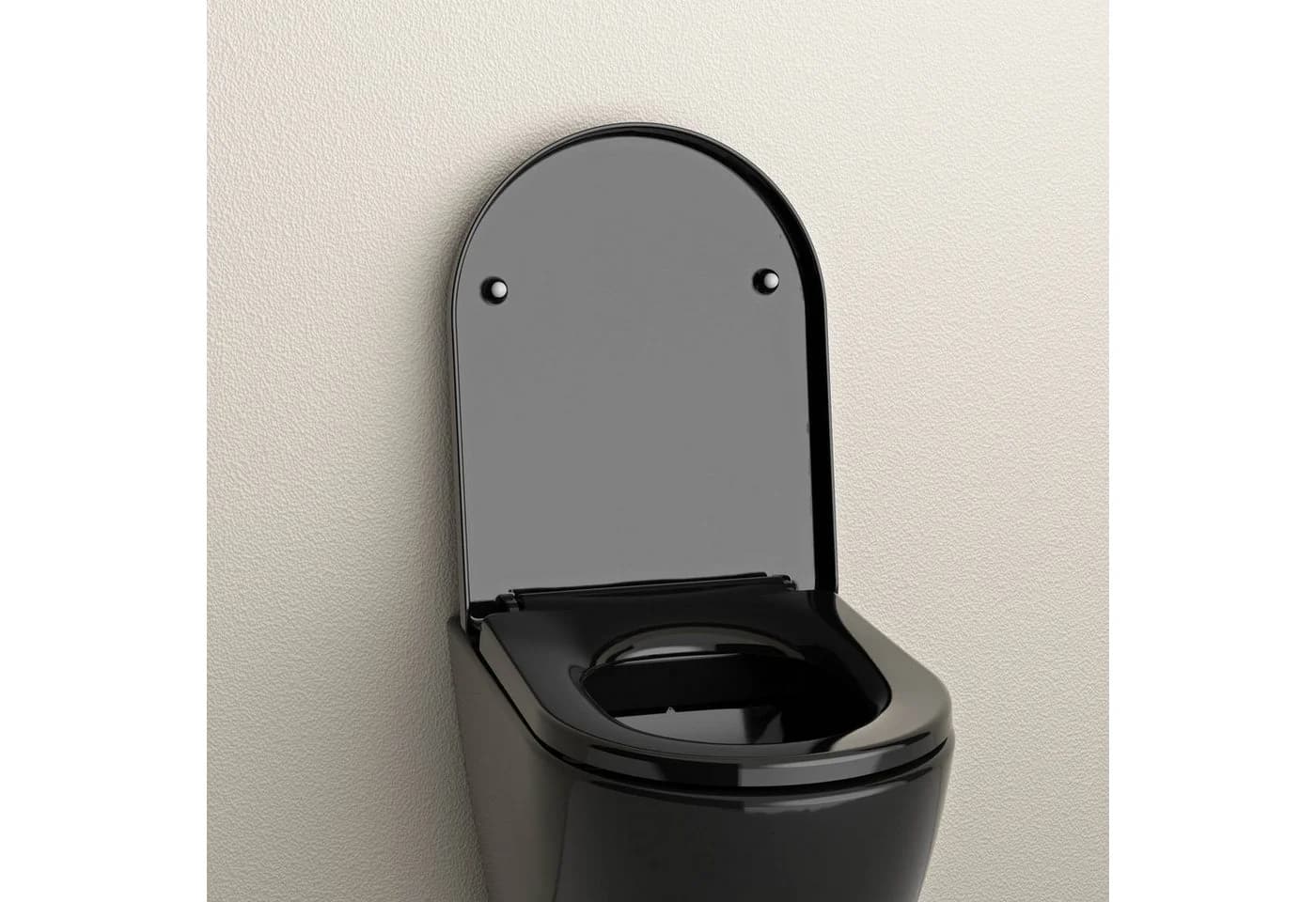 Bernstein WC-Sitz U1002 Komplett-Set Schwarz D-Form Absenkautomatik LED-Licht