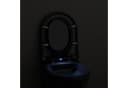 Bernstein WC-Sitz U1002 Komplett-Set Schwarz D-Form Absenkautomatik LED-Licht Bild 4