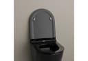 Bernstein WC-Sitz U2019 Schwarz D-Form Soft-Close Bild 1
