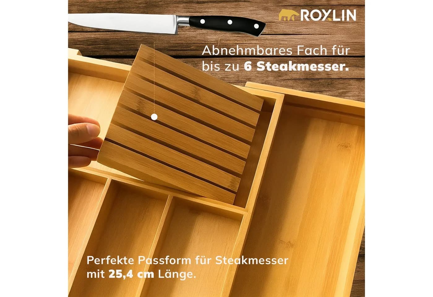 none - Bild 3