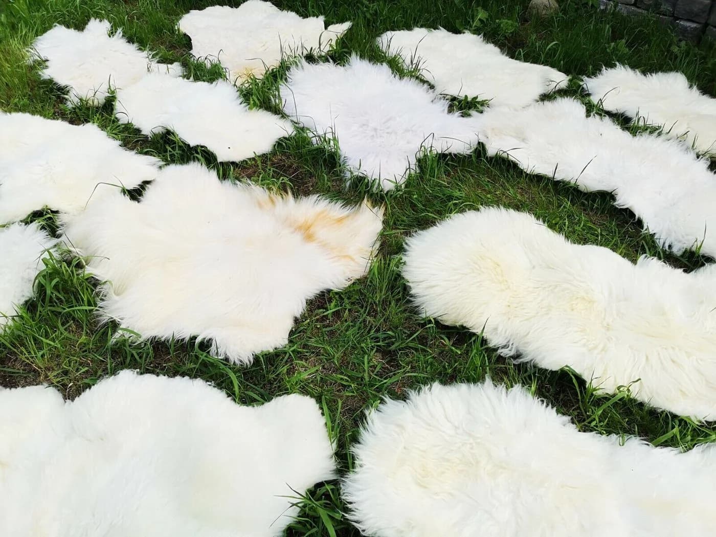 Provellus Fellteppich Hell Öko Schaffell Lammfell Naturfell Weich Rund - Bild 2