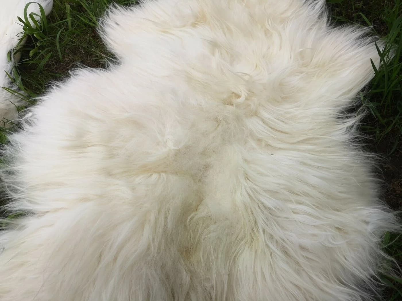 Provellus Fellteppich Hell Öko Schaffell Lammfell Naturfell Weich Rund - Bild 3