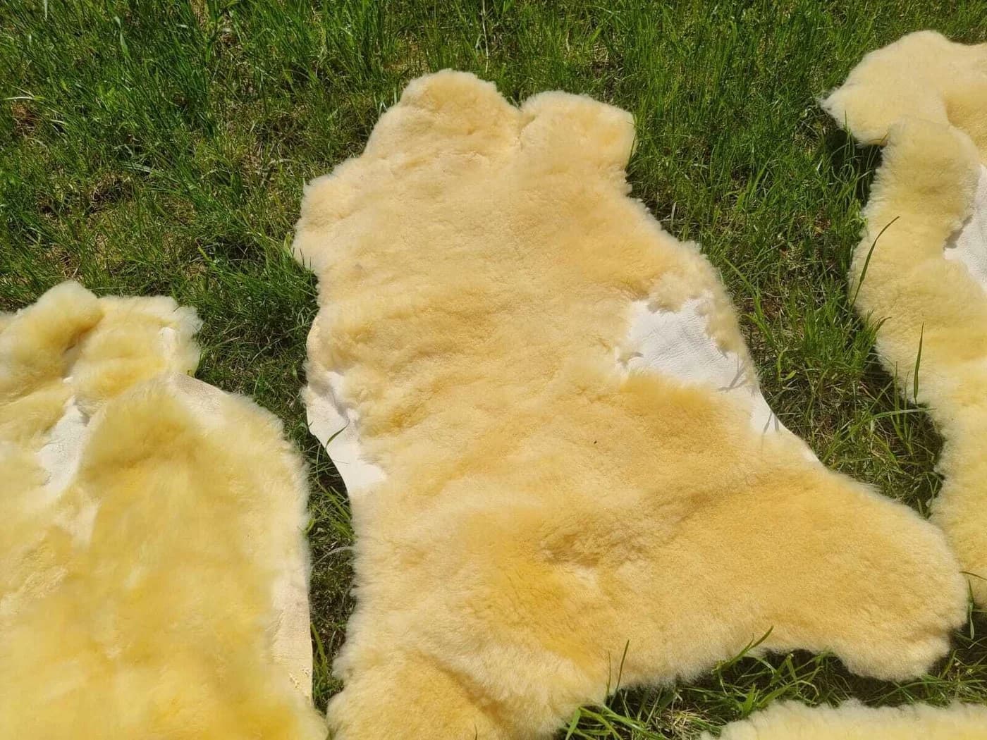Provellus Fellteppich Medizinisch gegerbtes Schaffell Relugan beschädigt Unikat - Bild 4