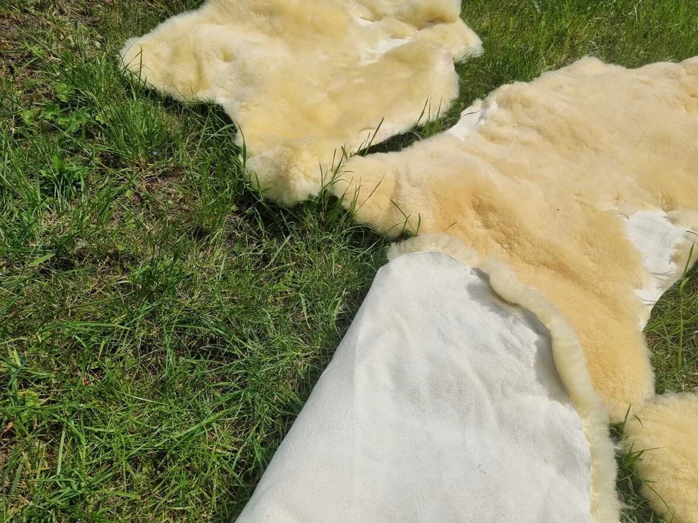 Provellus Medizinisch gegerbtes Schaffell Relugan Fellteppich Unikat - Bild 3