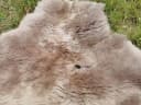 Provellus Fellteppich Taupe Rund 30cm Öko Schaffell Bild 4