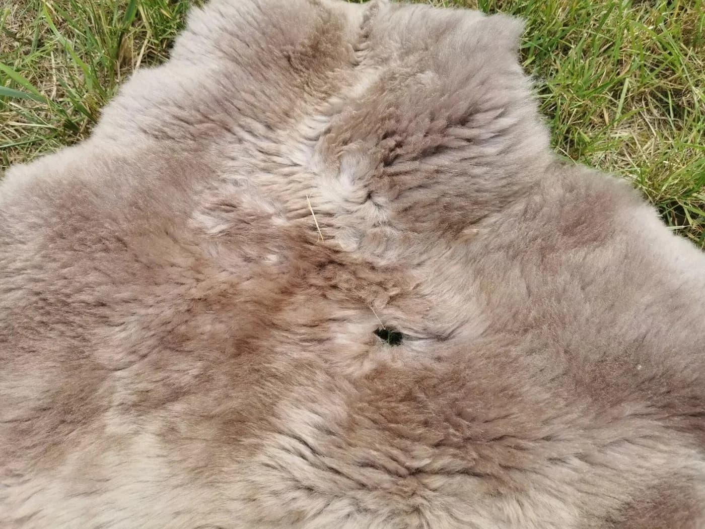 Provellus Fellteppich Taupe Rund 30cm Öko Schaffell - Bild 4