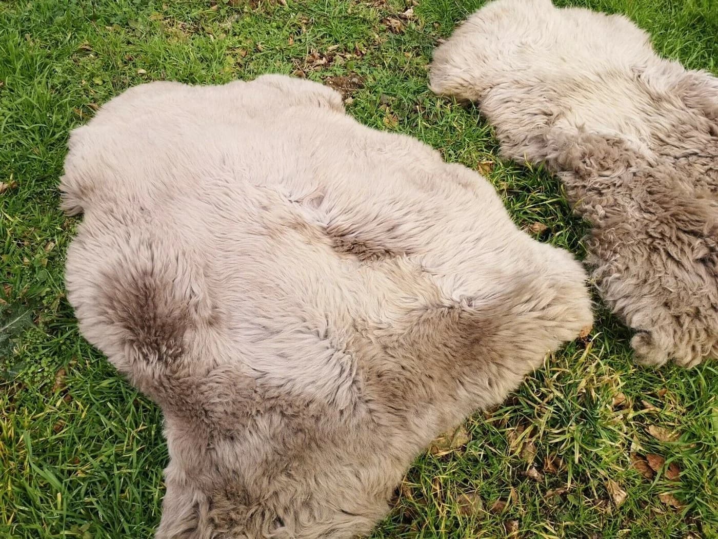 Provellus Fellteppich Lammfell Schaffell Taupe Öko Fell Dicht Weich L-XXL Unikat