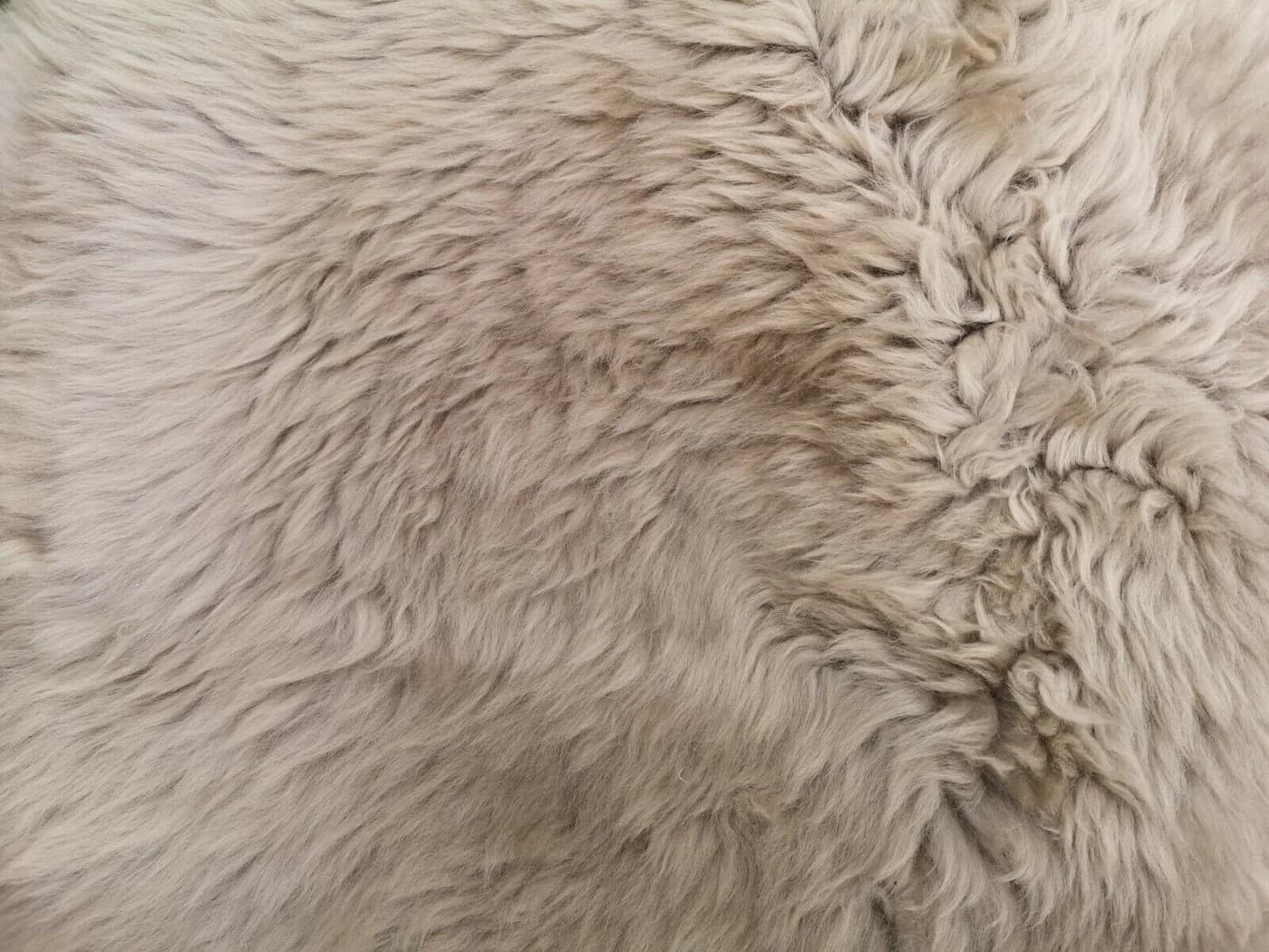 Provellus Fellteppich Lammfell Schaffell Taupe Öko Fell Dicht Weich L-XXL Unikat - Bild 4