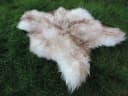 Provellus Echtes Lammfell Schaffell Teppich Flauschig Naturfell Bild 5