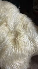 none Bild 5