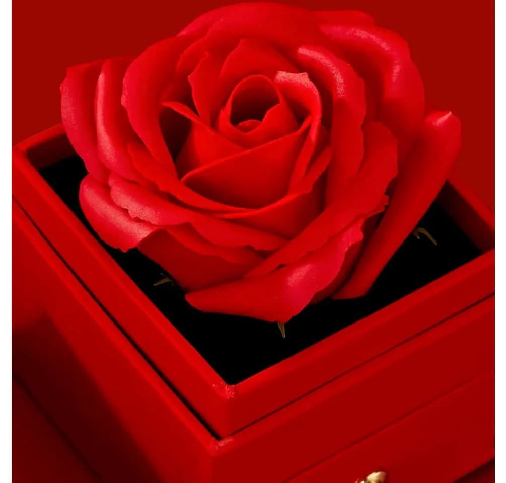 Tidy Ewige Rose mit Kleeblatt-Halskette in Rot - Bild 5