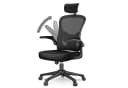 ZAISZE Bürostuhl Ergonomisch mit Kopfstütze & Mesh Bild 2