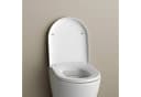 Bernstein WC-Sitz U1009 Komplett-Set D-Form Absenkautomatik Duroplast Bild 1
