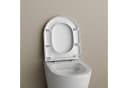 Bernstein WC-Sitz U1009 Komplett-Set D-Form Absenkautomatik Duroplast Bild 3