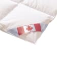 KÜNSEMÜLLER Sommerbettdecke Canada Daunen extra leicht 5-Sterne Hotelqualität Bild 2