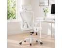 ANYSUN Bürostuhl ergonomisch Schwarz/Gold Carbonstahl Bild 1
