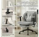 Leawin Ergonomischer Bürostuhl Grau mit Air-Lordosenstütze Bild 4