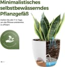 ibettertec Pflanzkübel Übertopf 16.5 cm Weiß 4er-Pack Selbstbewässerung Bild 3