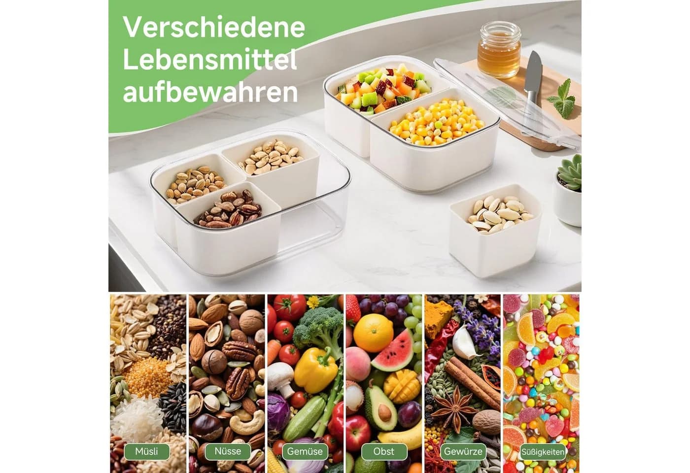 Elegear Snackbox mit 4 Fächern, Polypropylen, Spülmaschinenfest