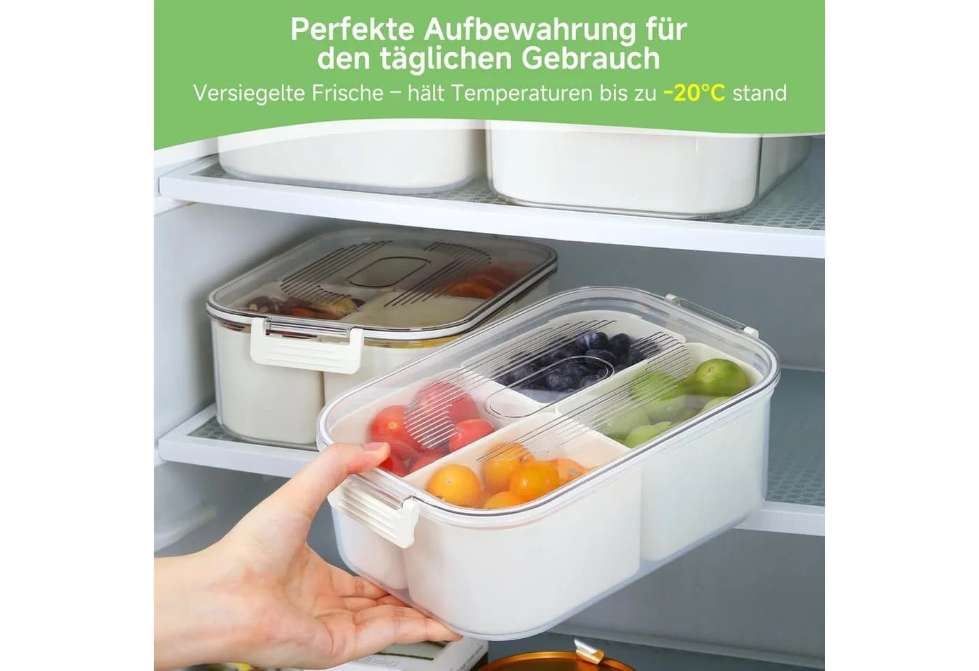 Elegear Snackbox mit 4 Fächern, Polypropylen, Spülmaschinenfest - Bild 3
