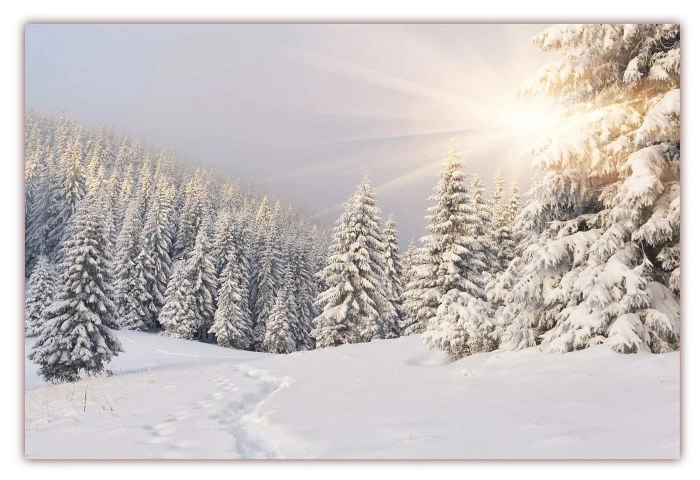 LYSCO Poster XXL Winterlandschaft 100x70cm