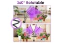 Clanmacy Pflanzenlampe 30W/40W LED mit 10 Helligkeitsstufen & Timing-Funktion Bild 4