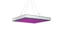 Moderne Pflanzenlampe mit LED-Beleuchtung Bild 2