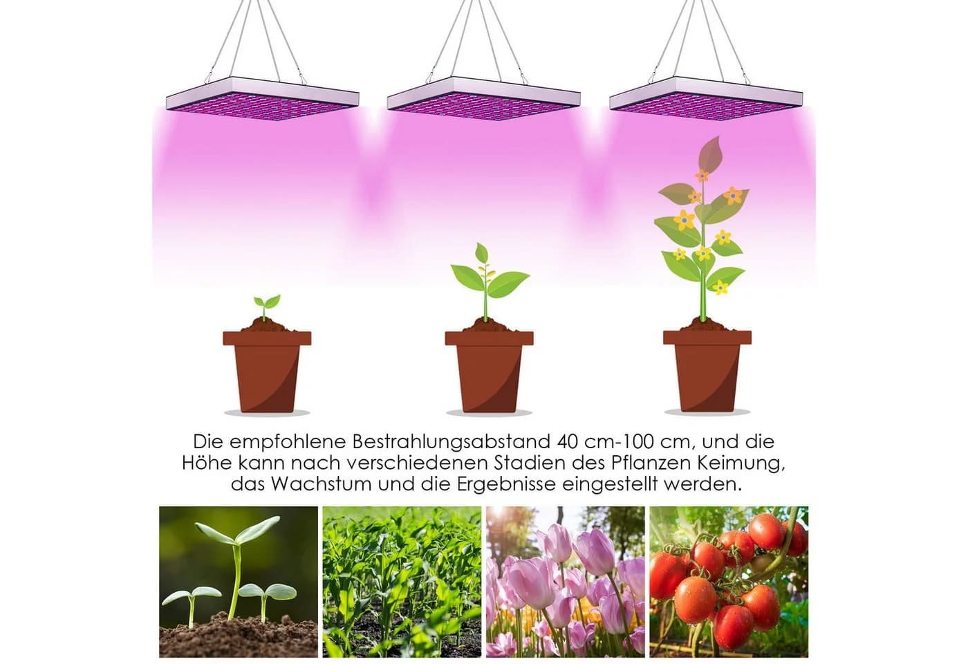 Moderne Pflanzenlampe mit LED-Beleuchtung - Bild 3