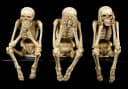 Figuren Shop GmbH Kantenhocker Skelett 3er Set Veronese Gothic Dekoration Bild 1