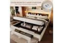 SeedWave Polsterbett Beige mit LED, Stauraum & Ladefunktion Bild 3