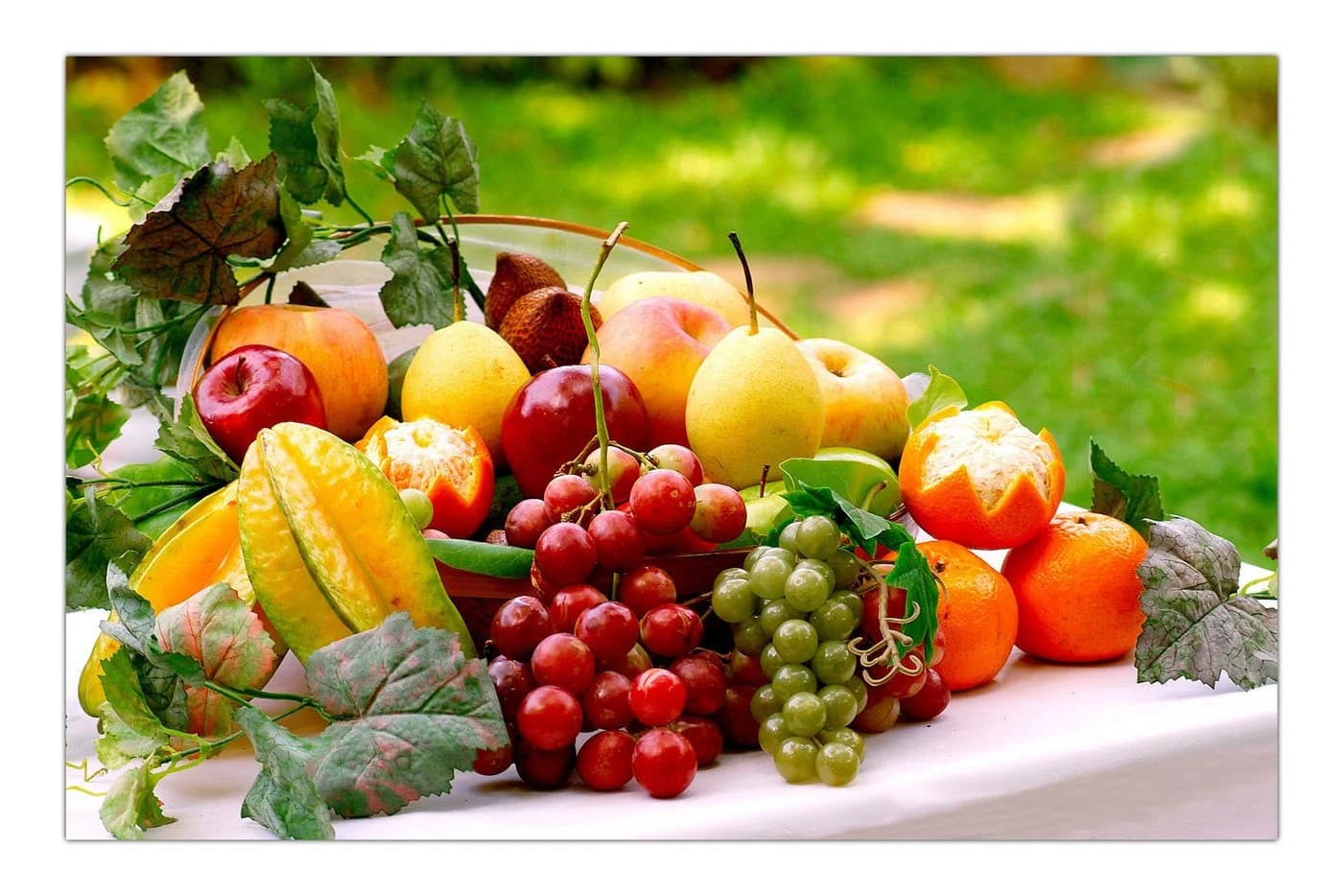 LYSCO Poster XL 70x50cm Gedeckter Tisch Obst Weintrauben Sommer
