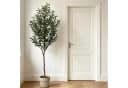 CASSILANDO Künstliche Zimmerpflanze Olivenbaum Grün 210 cm Bild 5