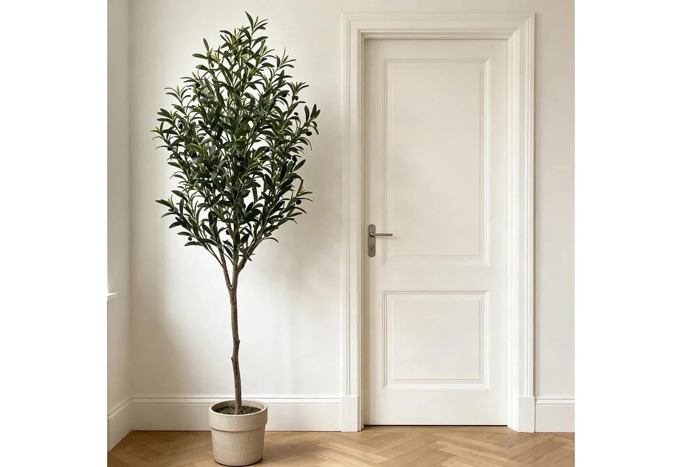 CASSILANDO Künstliche Zimmerpflanze Olivenbaum Grün 210 cm - Bild 5