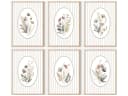 homestyle-accessoires Poster Bilderset Wiesenblumen 6er Set Bild 2
