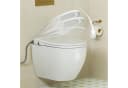 HOROW Dusch-WC-Sitz mit Bidet, Absenkautomatik, Duroplast, abnehmbar Bild 1