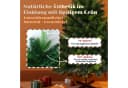 Circlio Künstlicher Weihnachtsbaum 180 cm mit Holzständer Bild 3