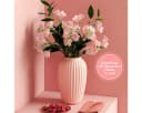 MOPUEA Kunstblumenstrauß Afrikanische Jasminzweige 5 Blumen Rosa Bild 5