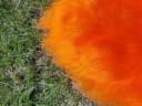 Provellus Fellteppich Premium Island Lammfell Orange Rund Bild 3