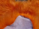 Provellus Fellteppich Premium Island Lammfell Orange Rund Bild 4