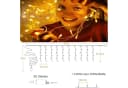 Quntis LED-Lichterkette 4M Warmweiß 144 LEDs Eisregen Außen Bild 4