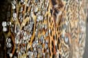 MF Leinwandbild Wandbild 3D Diamond Jaguar Lackoptik Mit Rahmen 82x82cm Bild 3